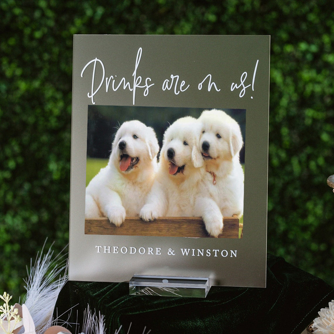 Coustomper™Pet Picture Card